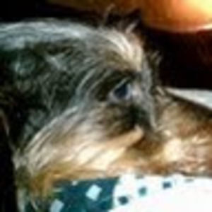 Meet your Posher, Colleen